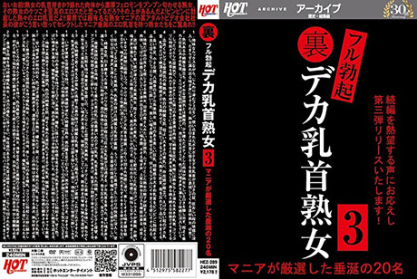 裏フル勃起デカ乳首熟女3 マニアが厳選した垂涎の20名  パッケージ画像