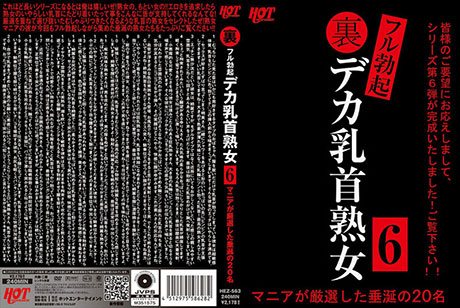 裏フル勃起デカ乳首熟女6 マニアが厳選した垂涎の20名  パッケージ画像